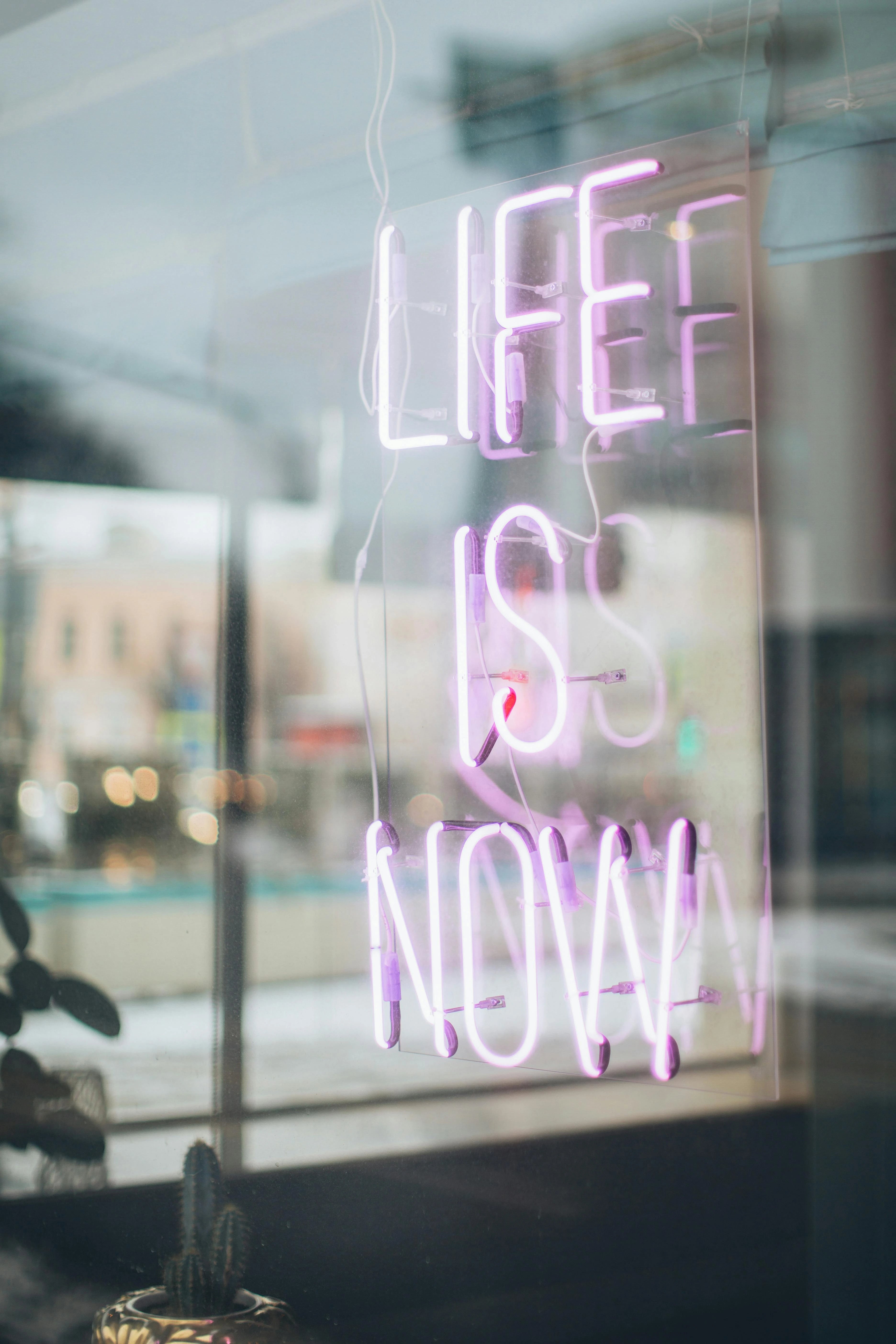 Life is Now Glass Neon Sign